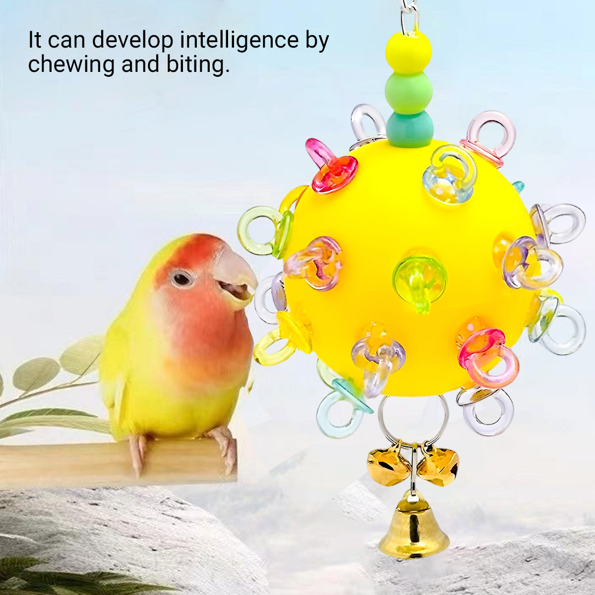Durable Acrylic Parrot Toy With Bells & Rings For Small Birds