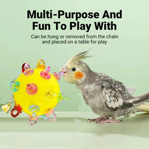 Durable Acrylic Parrot Toy With Bells & Rings For Small Birds