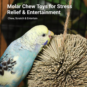 Natural Parrot Chew Toy Ball | Woven Foraging Bird Toy for Cages