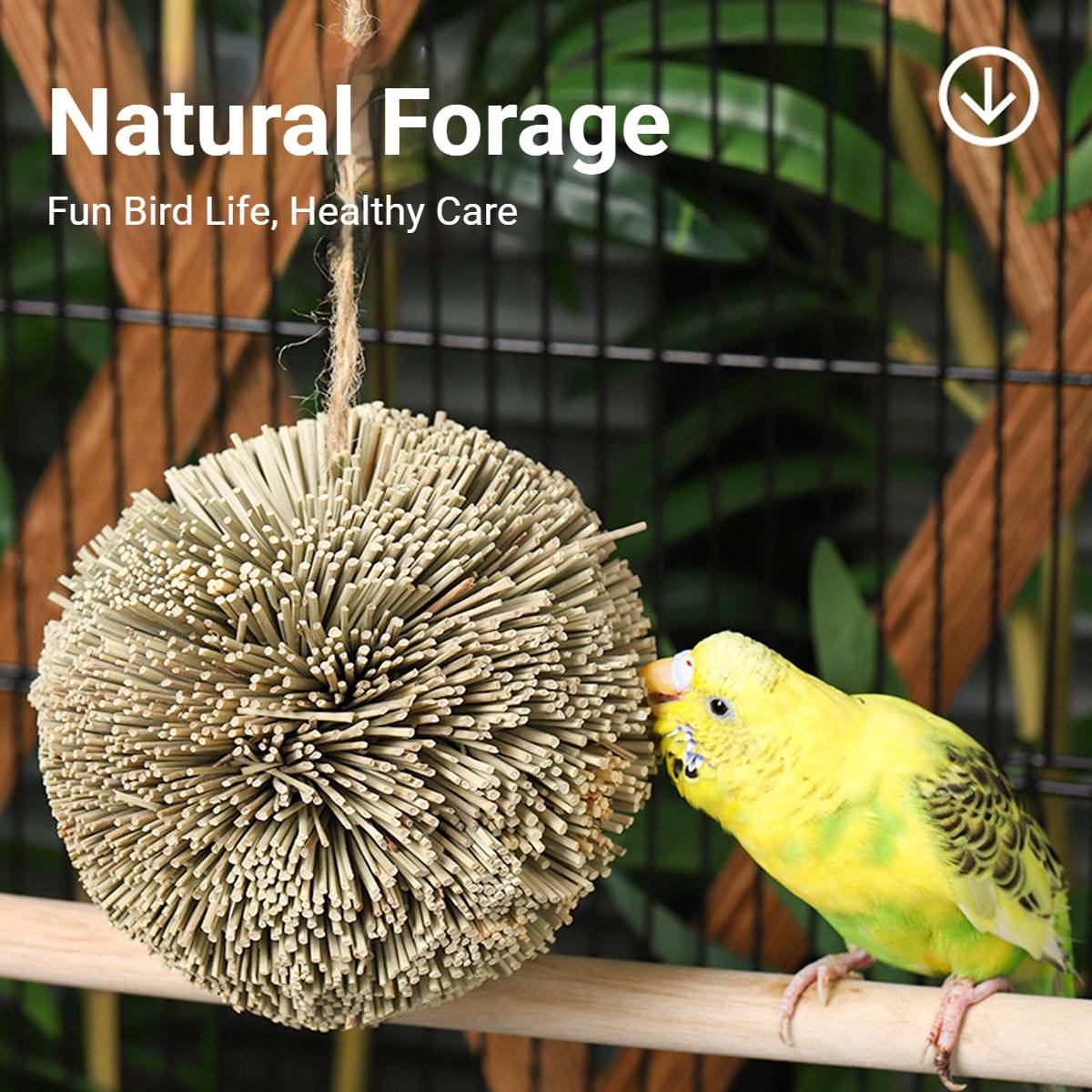 Natural Parrot Chew Toy Ball | Woven Foraging Bird Toy for Cages