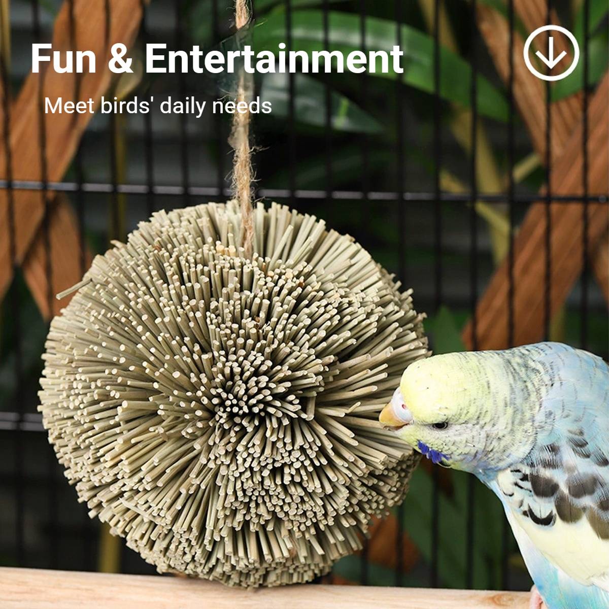 Natural Parrot Chew Toy Ball | Woven Foraging Bird Toy for Cages