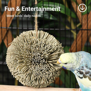 Natural Parrot Chew Toy Ball | Woven Foraging Bird Toy for Cages