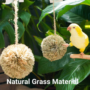 Natural Parrot Chew Toy Ball | Woven Foraging Bird Toy for Cages
