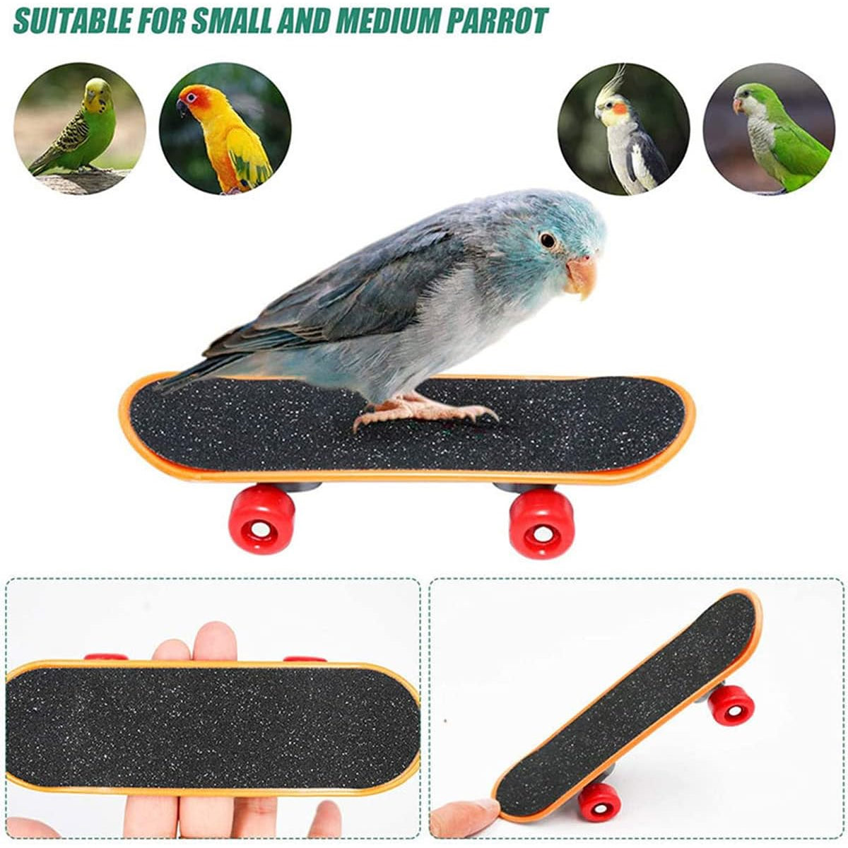 4pcs Parrot Toy Suit Educational Trolley Ring Training Bird Supplies