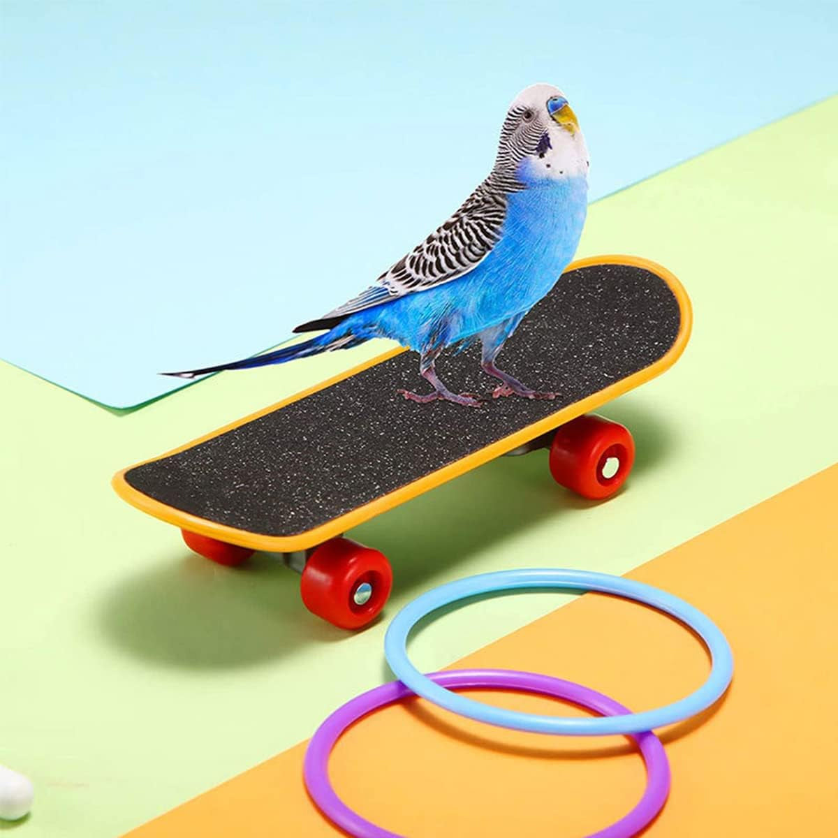 4pcs Parrot Toy Suit Educational Trolley Ring Training Bird Supplies