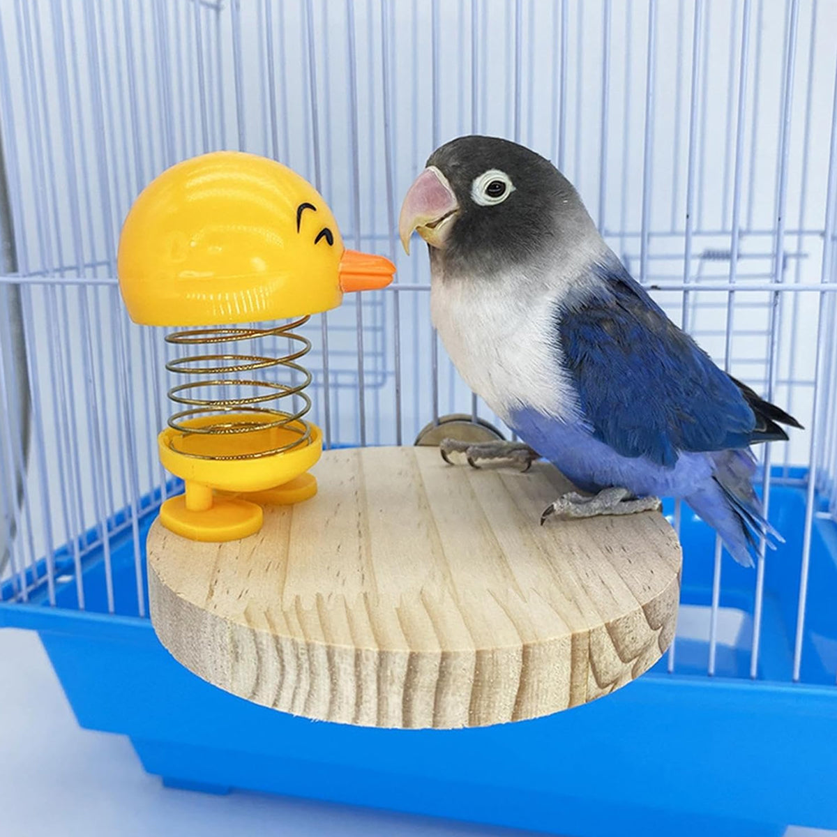 Parrot Bird Toys Wooden Bird Cage Platform With Spring Toy