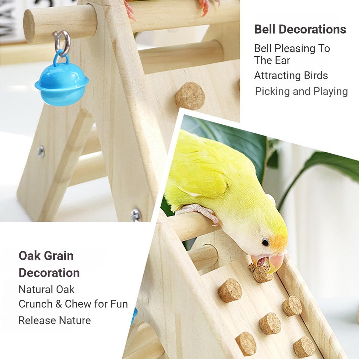 Parrot Climbing Ladder