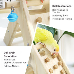 Parrot Climbing Ladder