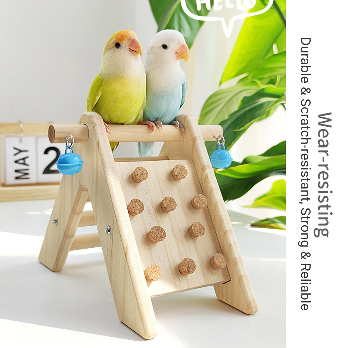 Parrot Climbing Ladder
