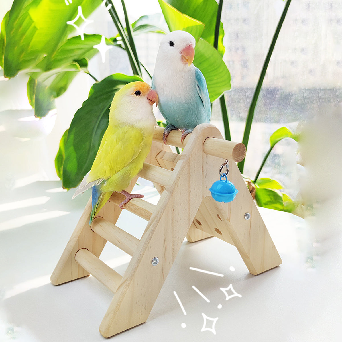 Parrot Climbing Ladder