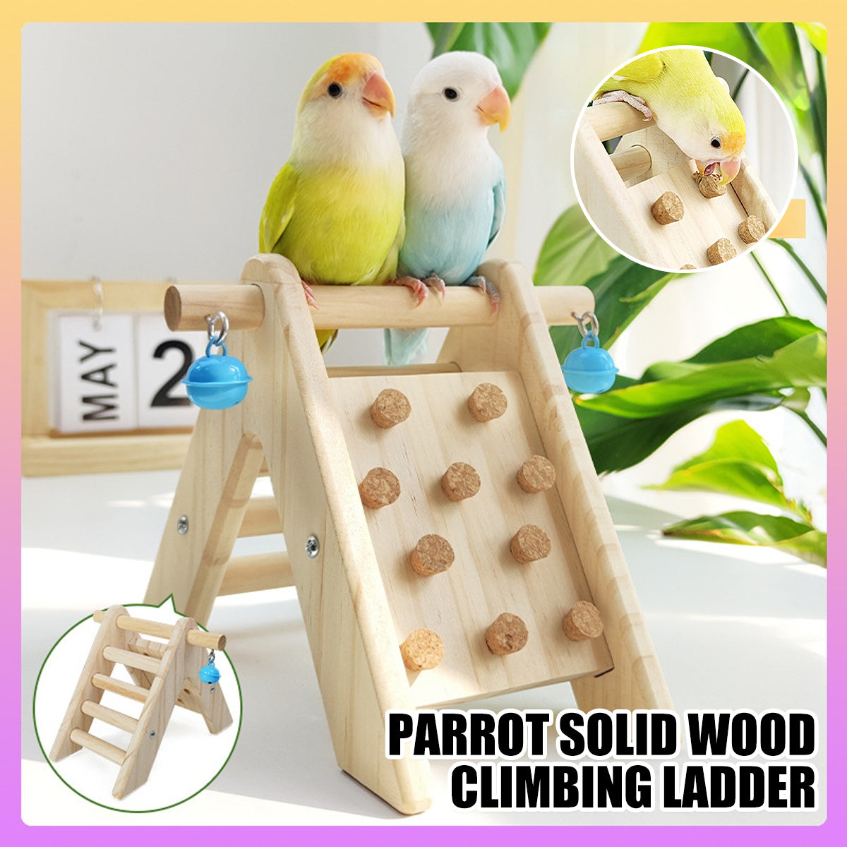Parrot Climbing Ladder