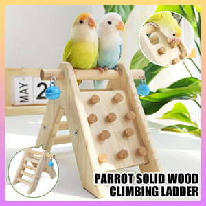 Parrot Climbing Ladder