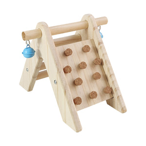 Parrot Climbing Ladder