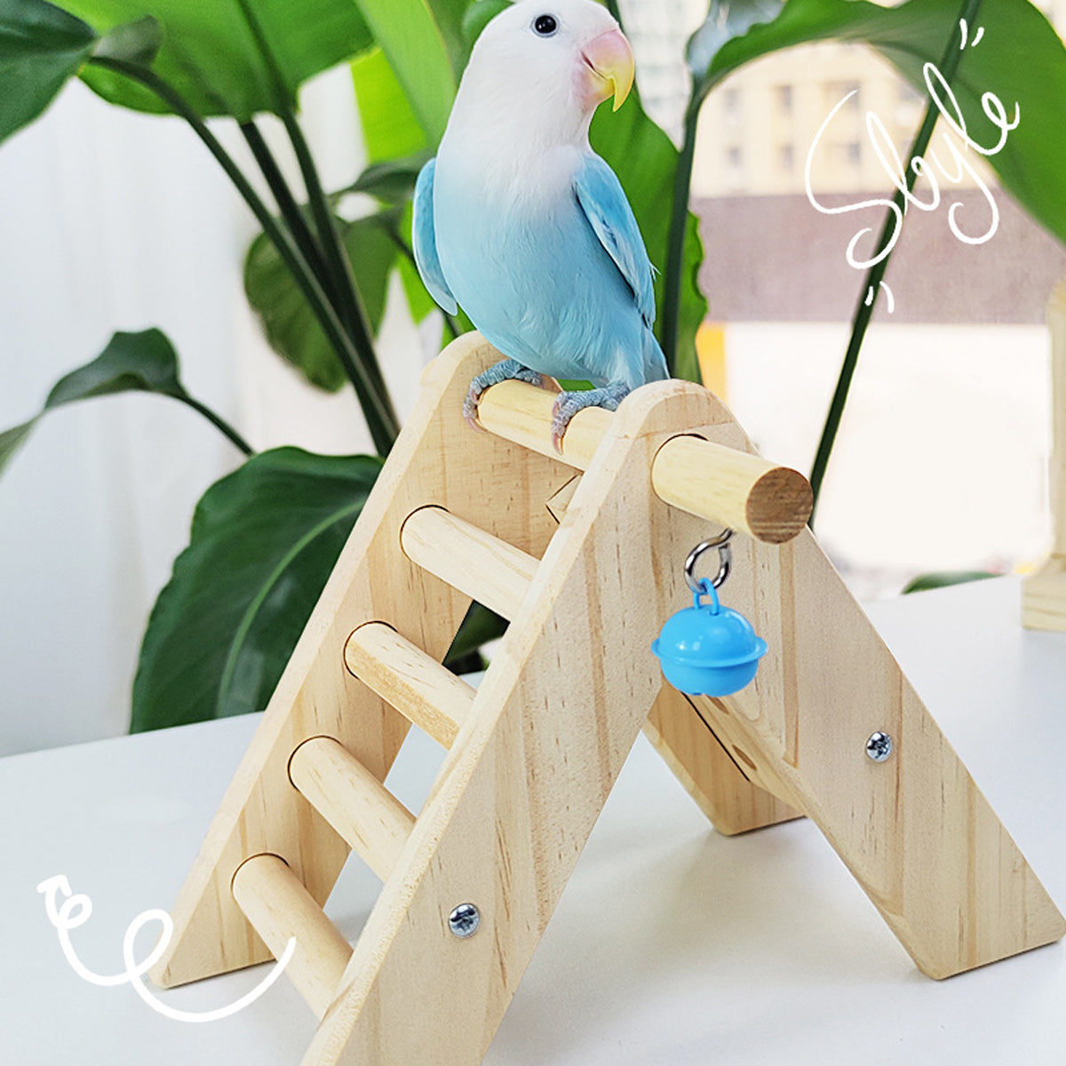 Parrot Climbing Ladder