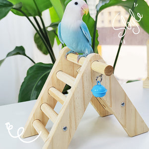Parrot Climbing Ladder
