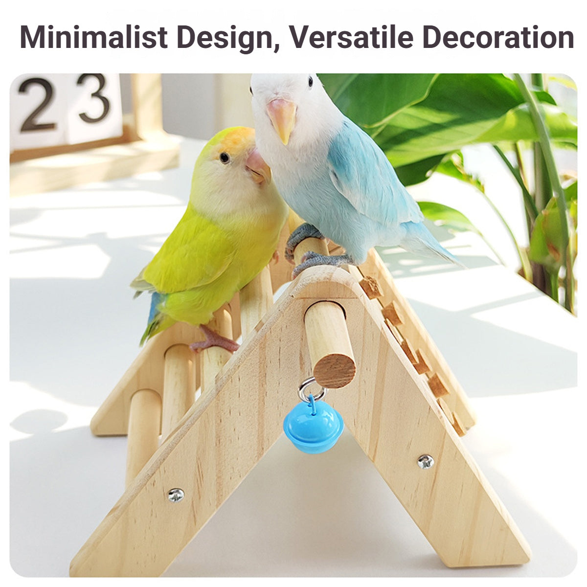 Parrot Climbing Ladder