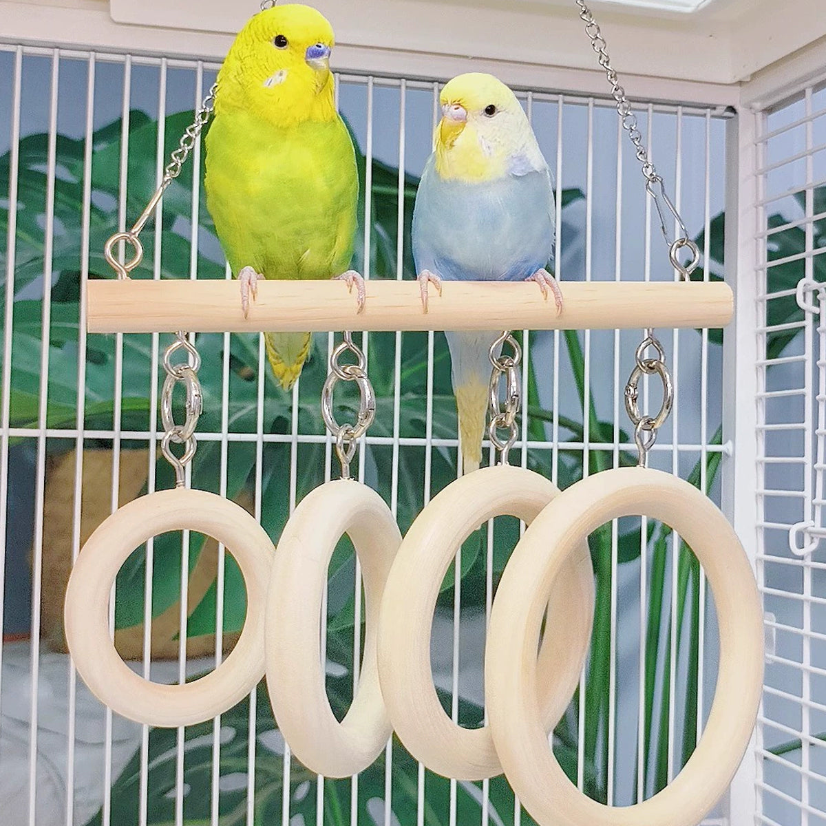 Parrot Ring Tunnel Toy Fun & Comfortable Play for Birds