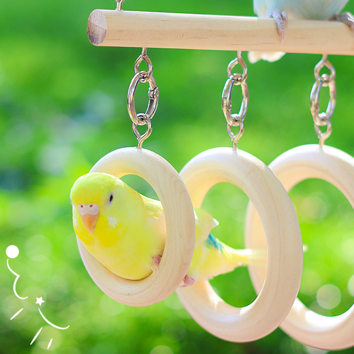 Parrot Ring Tunnel Toy Fun & Comfortable Play for Birds