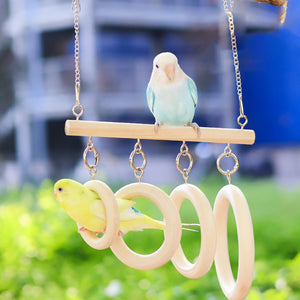 Parrot Ring Tunnel Toy Fun & Comfortable Play for Birds