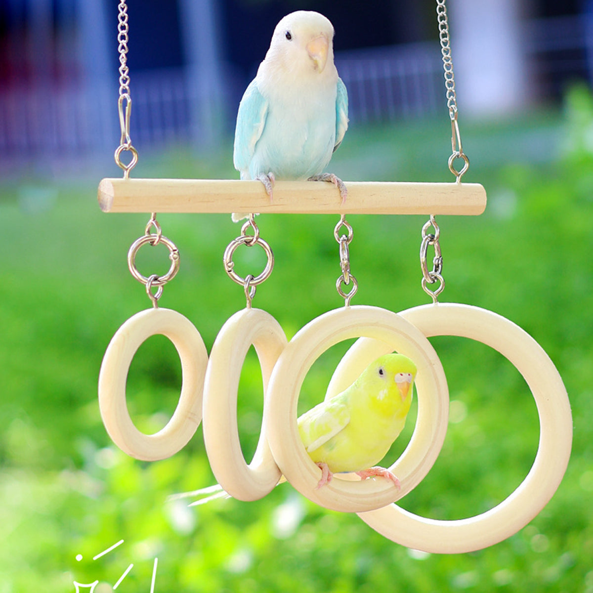Parrot Ring Tunnel Toy Fun & Comfortable Play for Birds