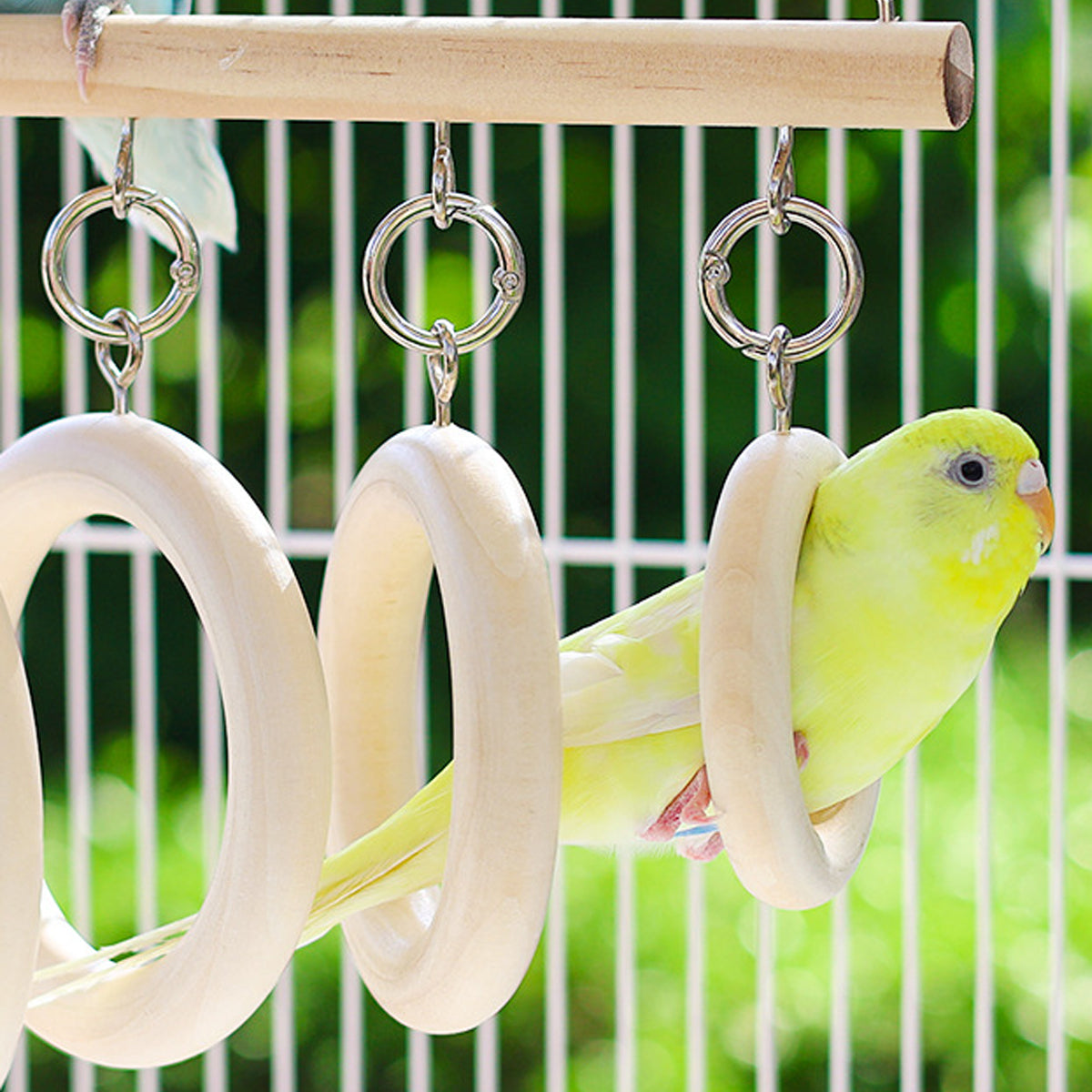 Parrot Ring Tunnel Toy Fun & Comfortable Play for Birds
