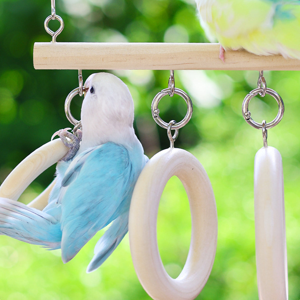 Parrot Ring Tunnel Toy Fun & Comfortable Play for Birds