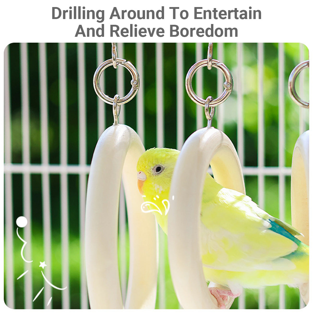 Parrot Ring Tunnel Toy Fun & Comfortable Play for Birds