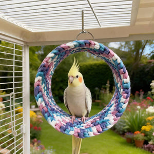 Parrot Hammock Ring Bird Swing Perch