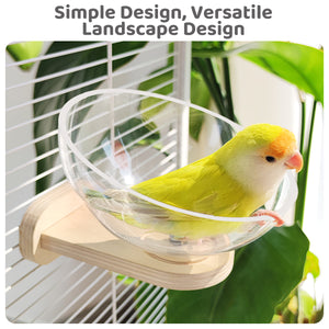 Transparent Bird Nest Capsule Wooden Wall-Mount Design