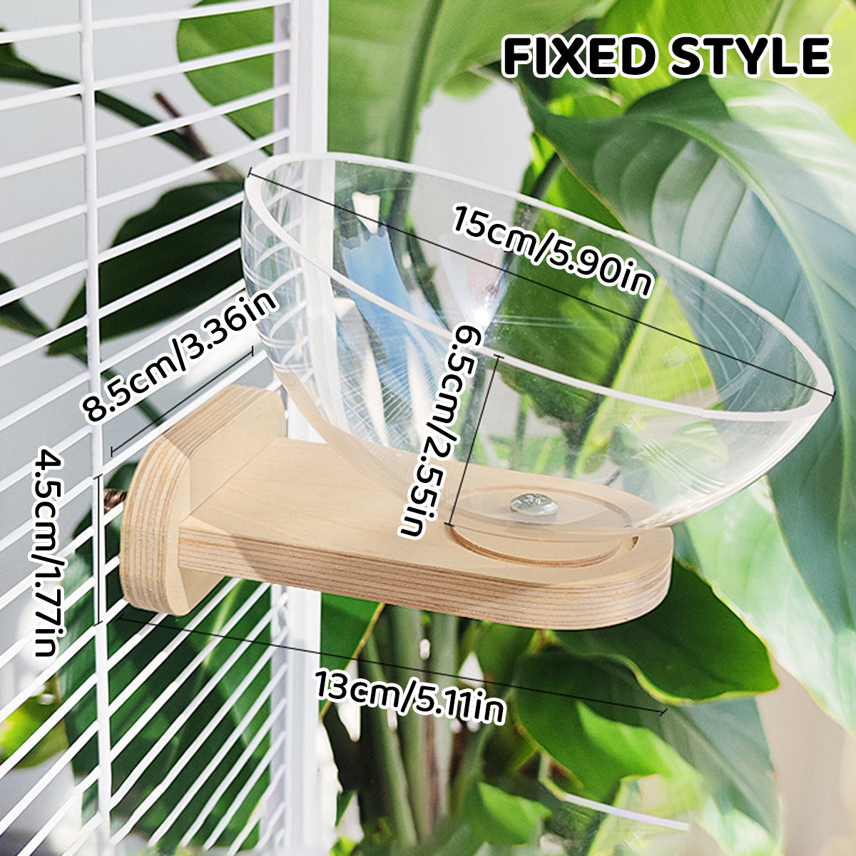 Transparent Bird Nest Capsule Wooden Wall-Mount Design