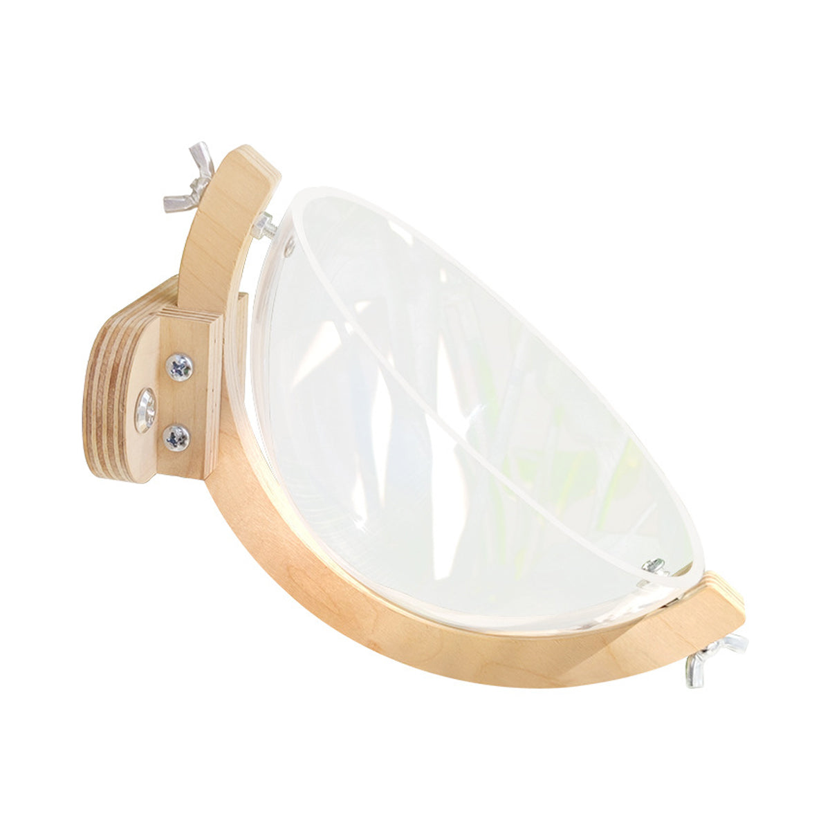 Transparent Bird Nest Capsule Wooden Wall-Mount Design