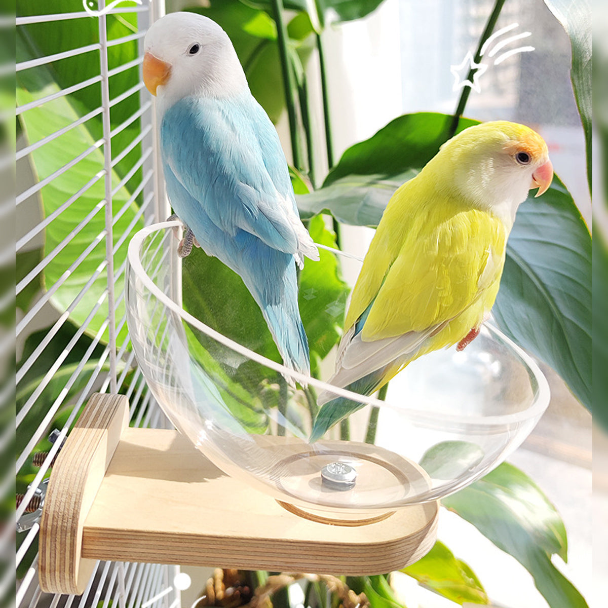 Transparent Bird Nest Capsule Wooden Wall-Mount Design