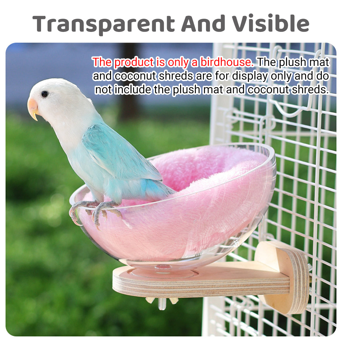Transparent Bird Nest Capsule Wooden Wall-Mount Design