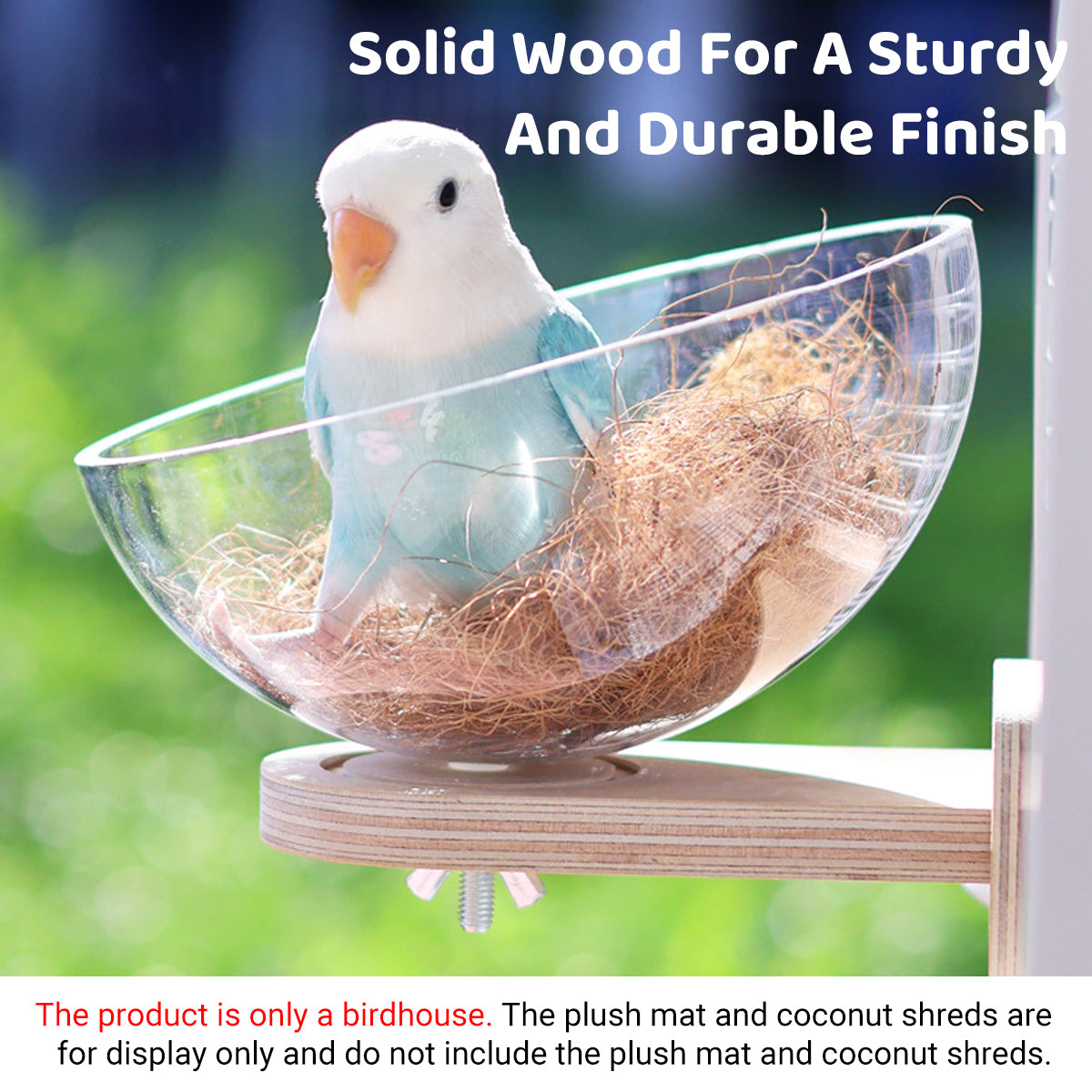 Transparent Bird Nest Capsule Wooden Wall-Mount Design