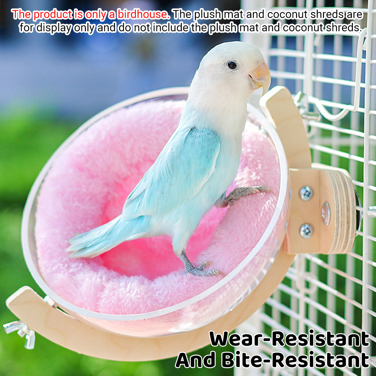 Transparent Bird Nest Capsule Wooden Wall-Mount Design