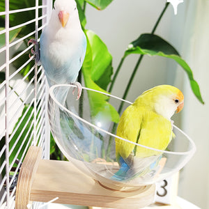 Transparent Bird Nest Capsule Wooden Wall-Mount Design