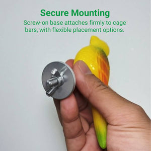 Parrot Spring Bird Toy Cage Mount