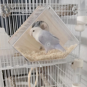 Transparent Bird Breeding Box With Perch
