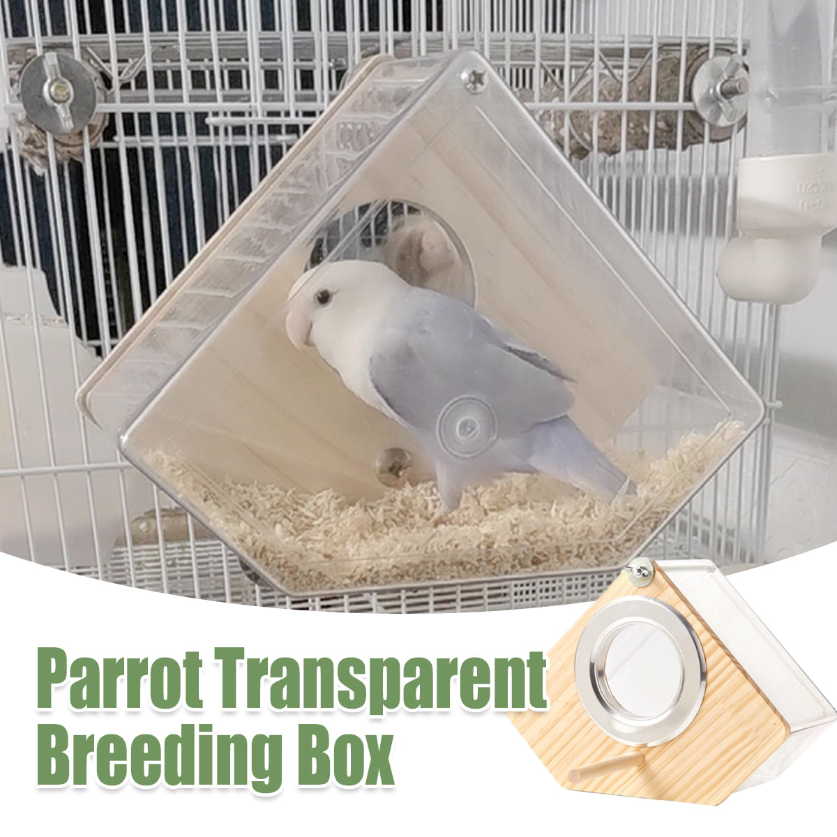 Transparent Bird Breeding Box With Perch