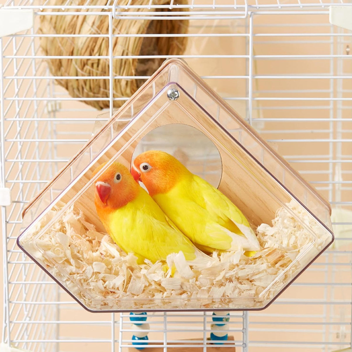 Transparent Bird Breeding Box With Perch