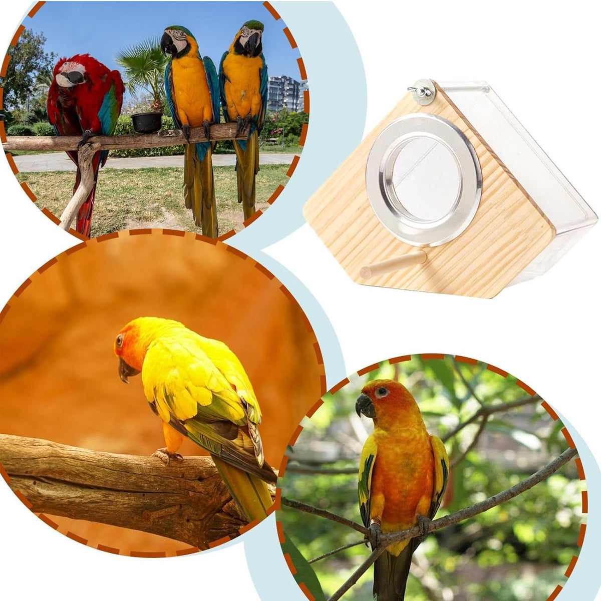 Transparent Bird Breeding Box With Perch