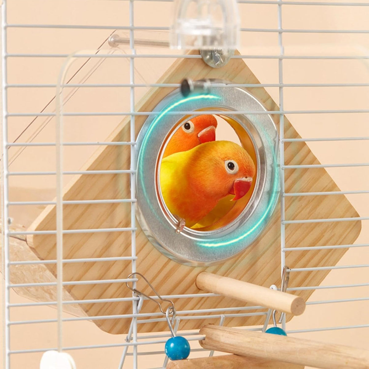 Transparent Bird Breeding Box With Perch