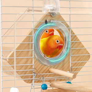 Transparent Bird Breeding Box With Perch