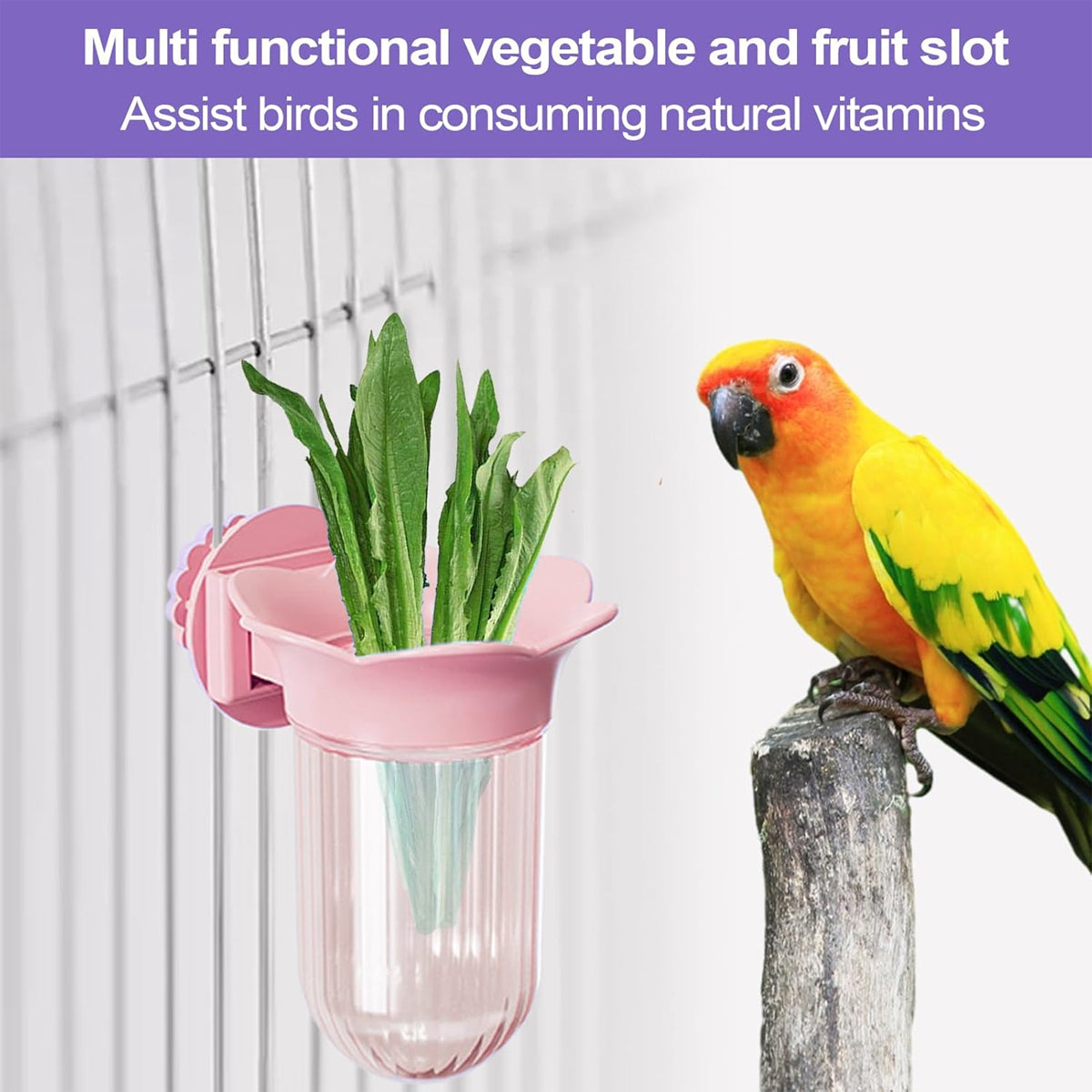 Hydroponic Bird Cage Feeder Cup Fruit & Vegetable Holder