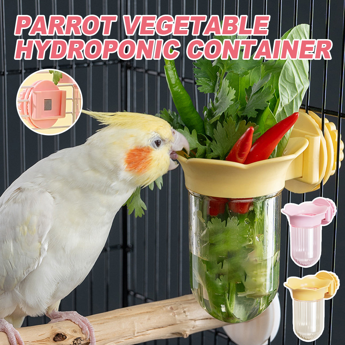 Hydroponic Bird Cage Feeder Cup Fruit & Vegetable Holder
