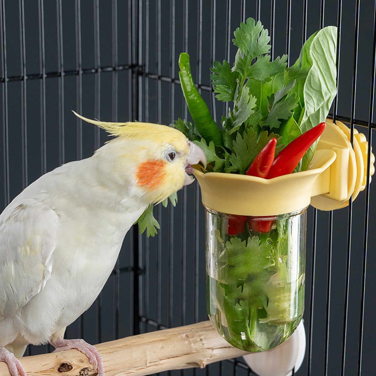 Hydroponic Bird Cage Feeder Cup Fruit & Vegetable Holder
