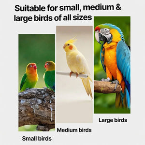 Floor Standing Parrot Bird Stand Multi Level Perch Training Stand with Wheels Stainless Steel Tray
