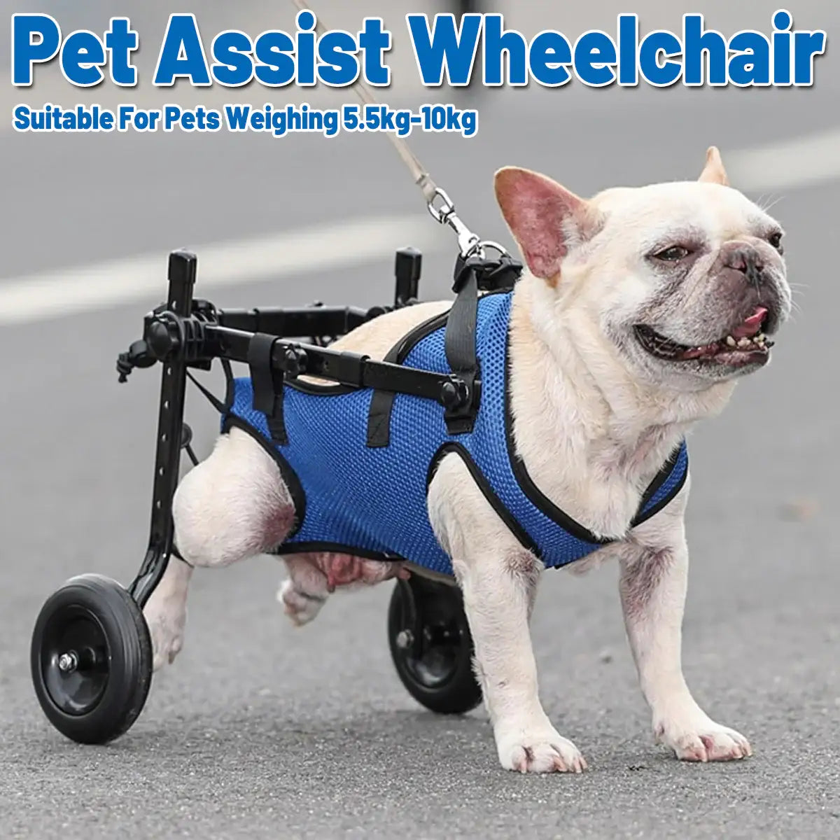Adjustable Pet Wheelchair for Disabled Dogs and Cats (5.5–10kg)