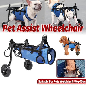 Adjustable Pet Wheelchair for Disabled Dogs and Cats (5.5–10kg)