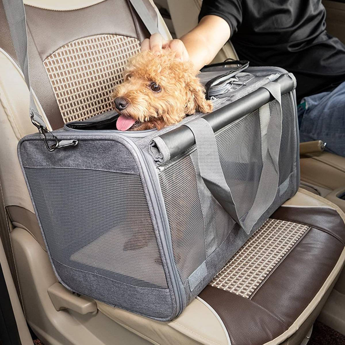 Cat Carrier Backpack - Foldable Breathable Pet Travel Bag